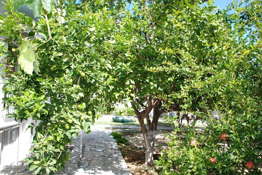 Kostas Family House Apartment Káto Ássos Exterior foto