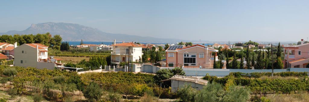 Kostas Family House Apartment Káto Ássos Exterior foto